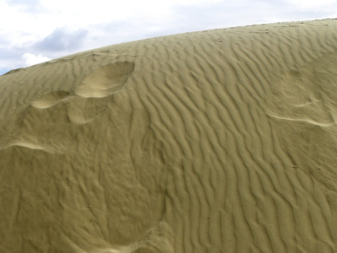 沙漠 黄沙