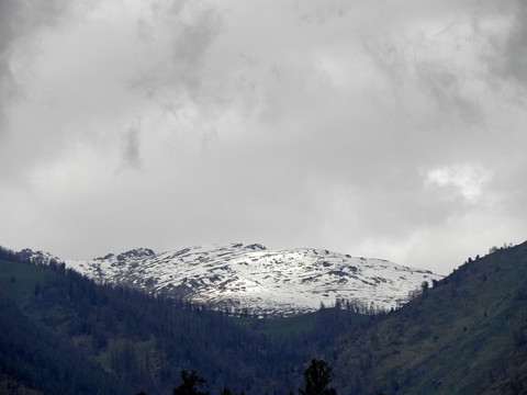 雪山森林