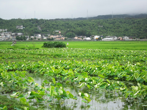 和顺古镇