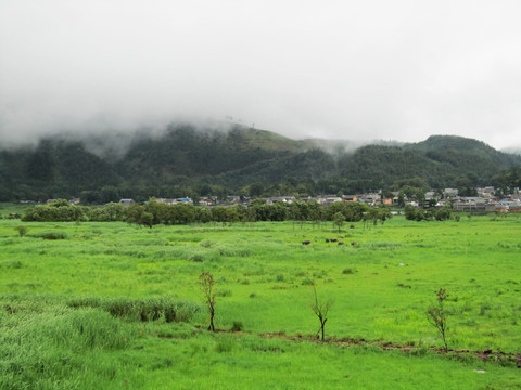 腾冲北海湿地保护区