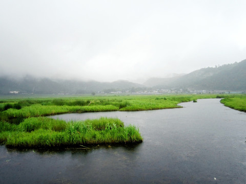 湿地保护区    湿地