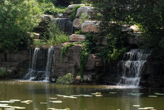 瀑布 流水 水景区 水面 荷叶