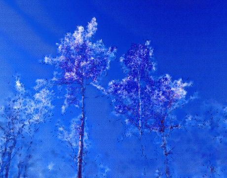 银妆树林 电脑水彩画
