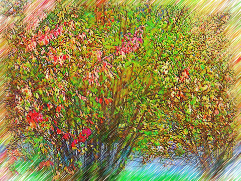 红叶之树 电脑铅笔画