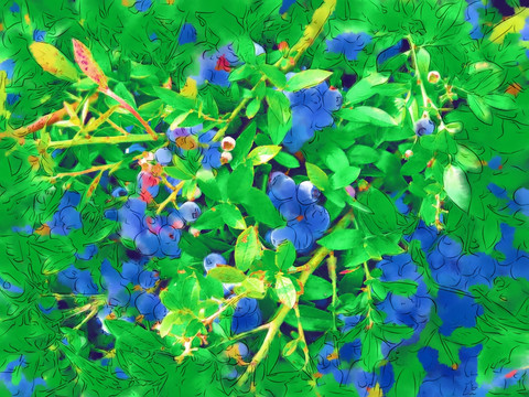 梦幻蓝莓 电脑水彩画
