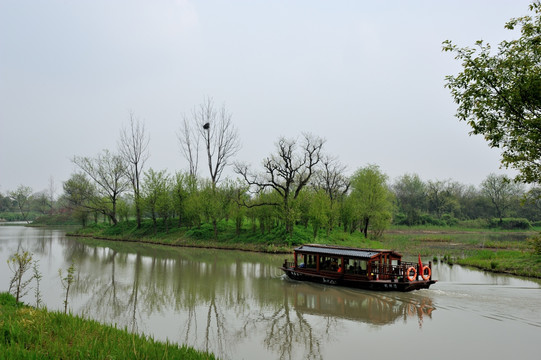 杭州 西溪 春季 湿地 公园