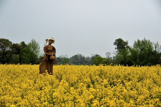 杭州 西溪 春季 油菜花 湿地