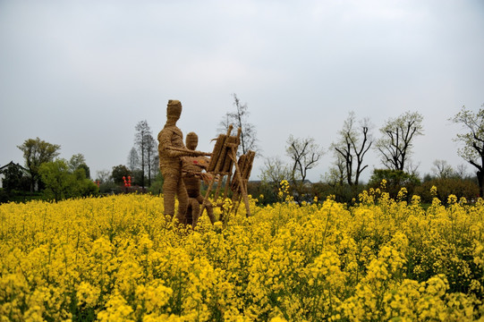 杭州 西溪 春季 油菜花 湿地