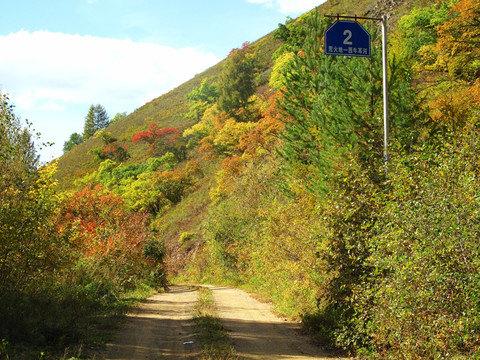 山林公路