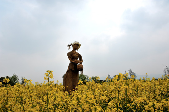 杭州 西溪 春季 油菜花 湿地