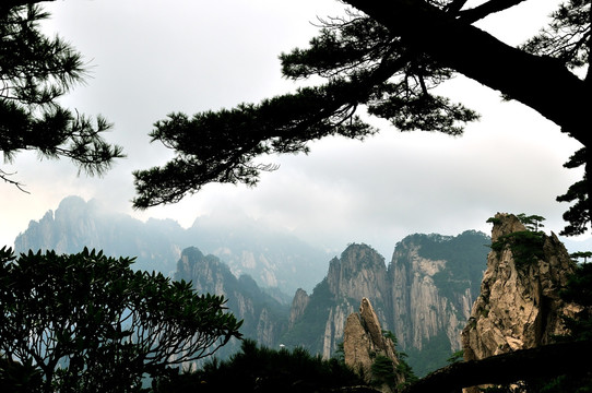 黄山奇峰