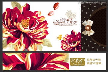 花 花卉 封面设计
