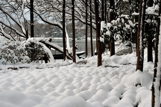西湖 杨公堤 茅家埠 雪景