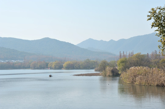西湖 杨公堤 秋季 湖泊