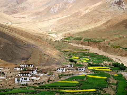 西藏高原村庄