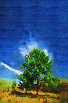 原野之树 电脑油画