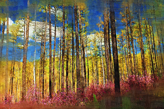 杜鹃花盛开的森林 油画