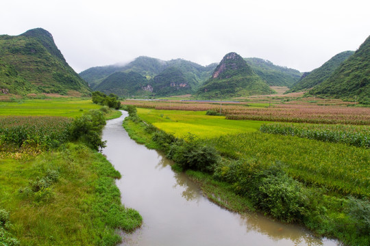 稻田 河流