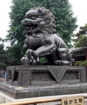 北京颐和园东宫门外铜狮子