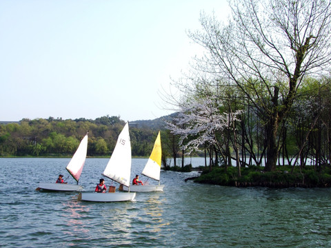 西湖 杨公堤 春季 夕阳 帆船