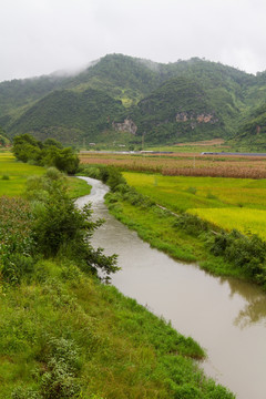 稻田 河流