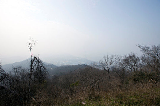 栖霞山 南京 树木 山坡 古迹