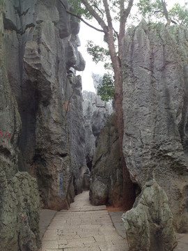 石林小路