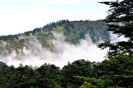 峨眉山云海