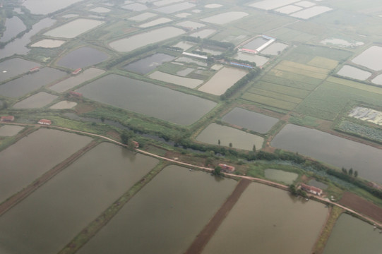 俯瞰田野