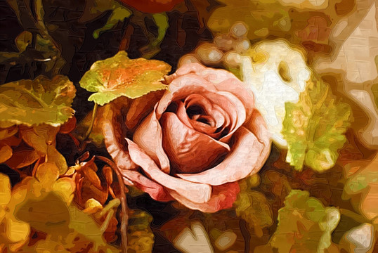 玫瑰花