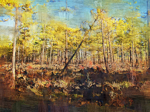 森林之秋 电脑油画