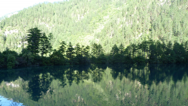 九寨沟原始森林