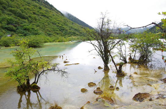 九寨沟黄龙