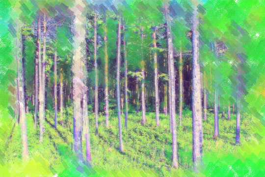 小树林 电脑画