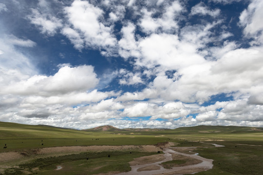 西藏那曲草原
