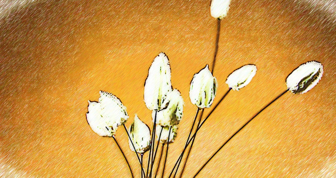 干花艺术