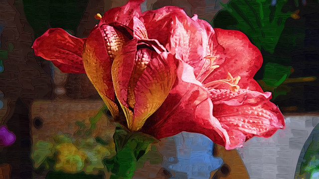 鲜花