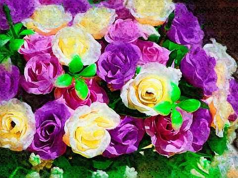 玫瑰花