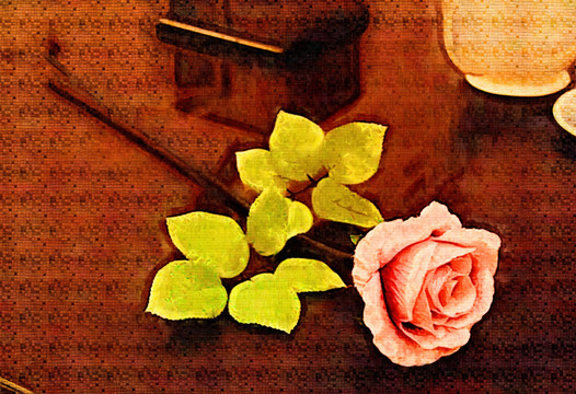 玫瑰花