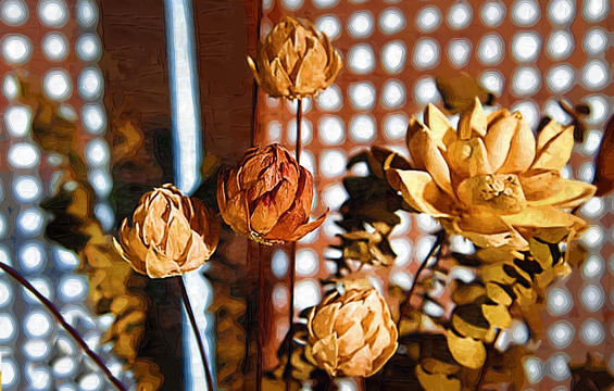 干花