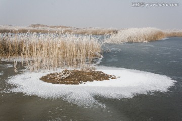 湿地冬天