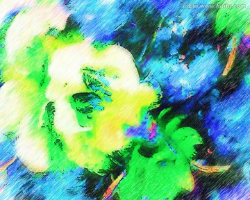 花纹