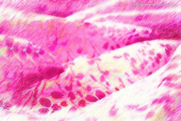 花纹