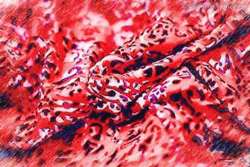 花纹