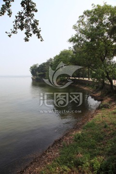 树荫湖泊景色