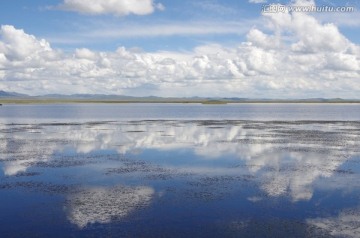 若尔盖花湖