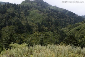 美姑县自然保护区