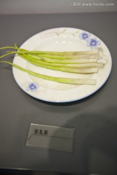 茭儿菜