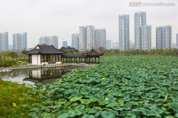 武汉沙湖公园