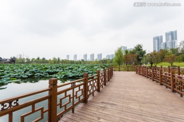 武汉沙湖公园桥